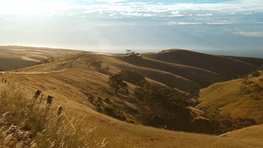 男孩们回来了剧照的剧照