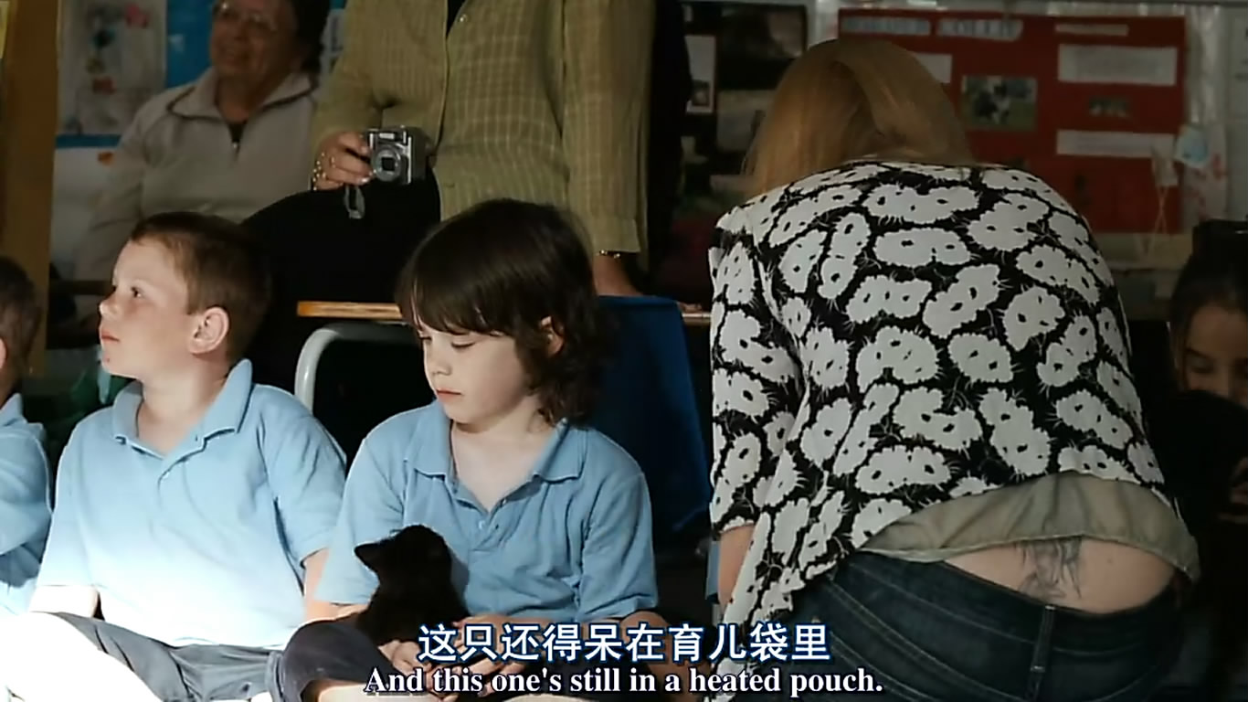 男孩们回来了剧照的剧照