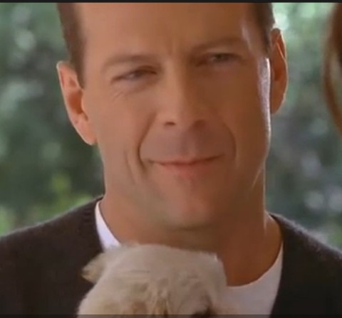 扭转乾坤剧照的剧照