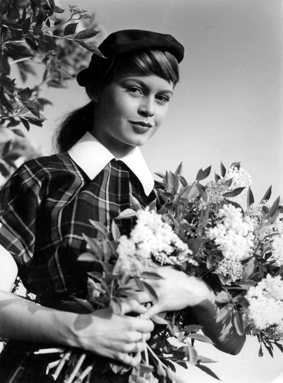 诺曼底苹果酒客栈剧照的剧照