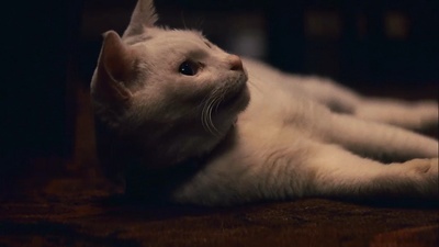 通天塔剧照的剧照