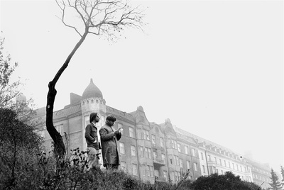 卡拉马利联盟剧照的剧照