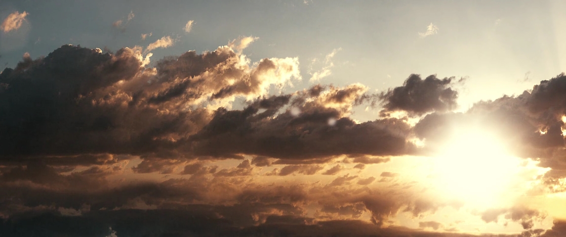 嗜血破晓剧照的剧照