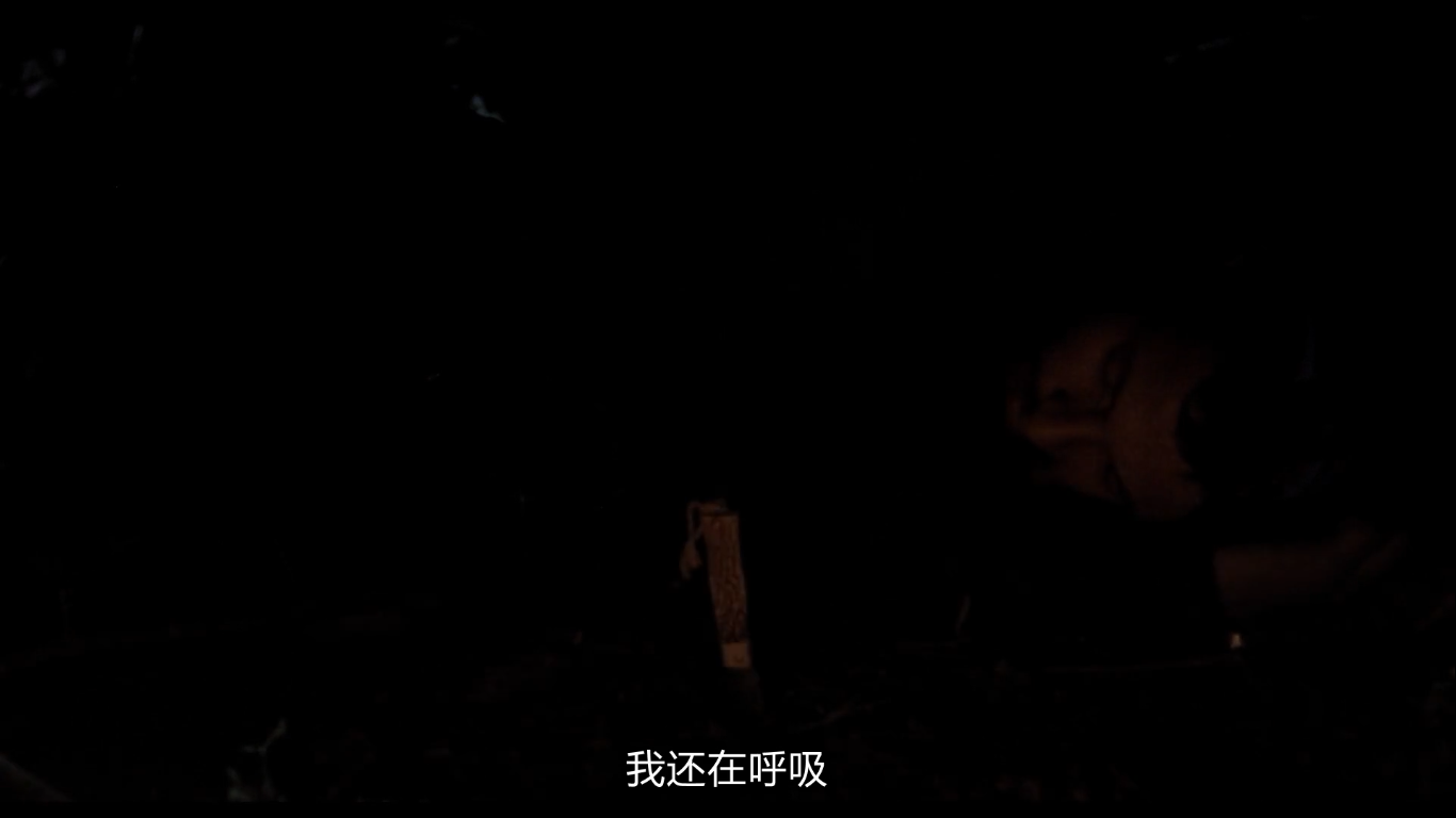 阿拉比亚剧照的剧照