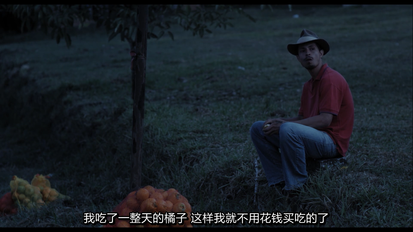 阿拉比亚剧照的剧照