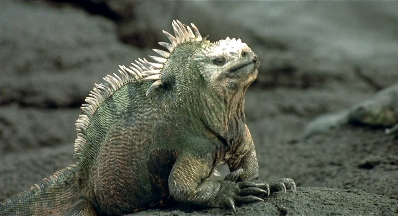 小宇宙2：基因狂想曲剧照的剧照