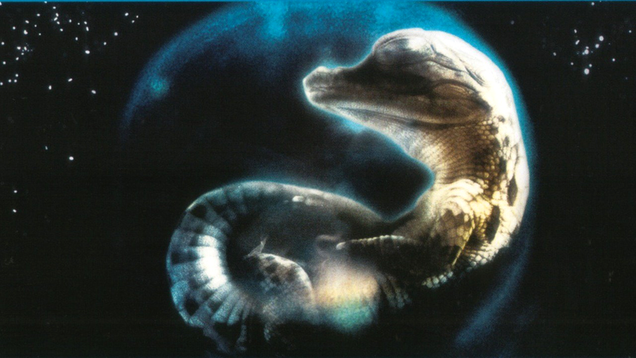 小宇宙2：基因狂想曲剧照的剧照