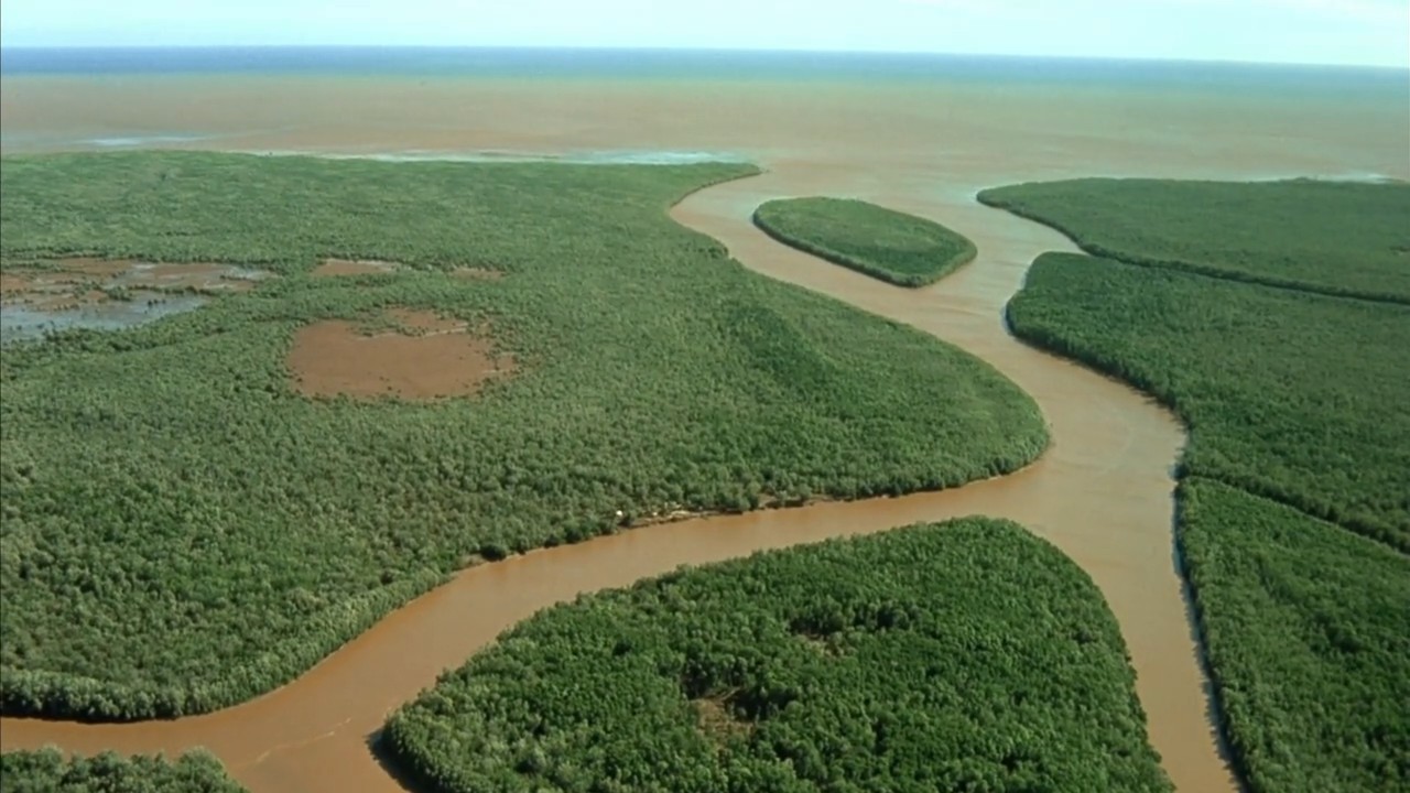 小宇宙2：基因狂想曲剧照的剧照