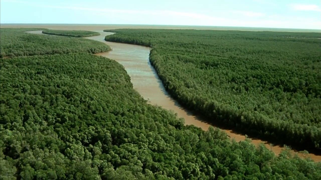 小宇宙2：基因狂想曲剧照的剧照