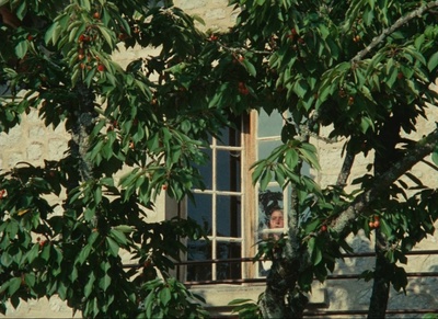 克莱尔的膝盖剧照的剧照