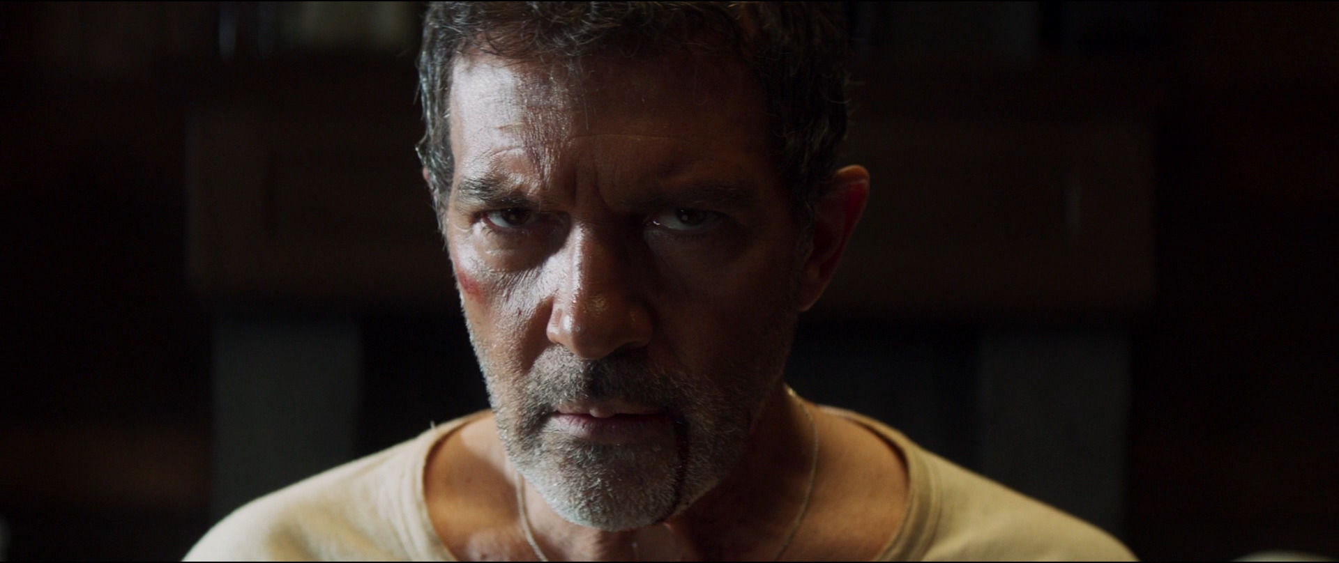 黑蝴蝶剧照的剧照