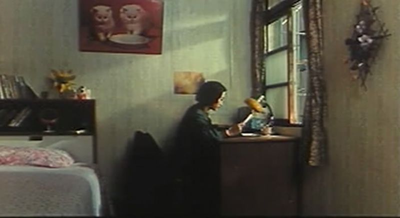 油麻菜籽剧照的剧照