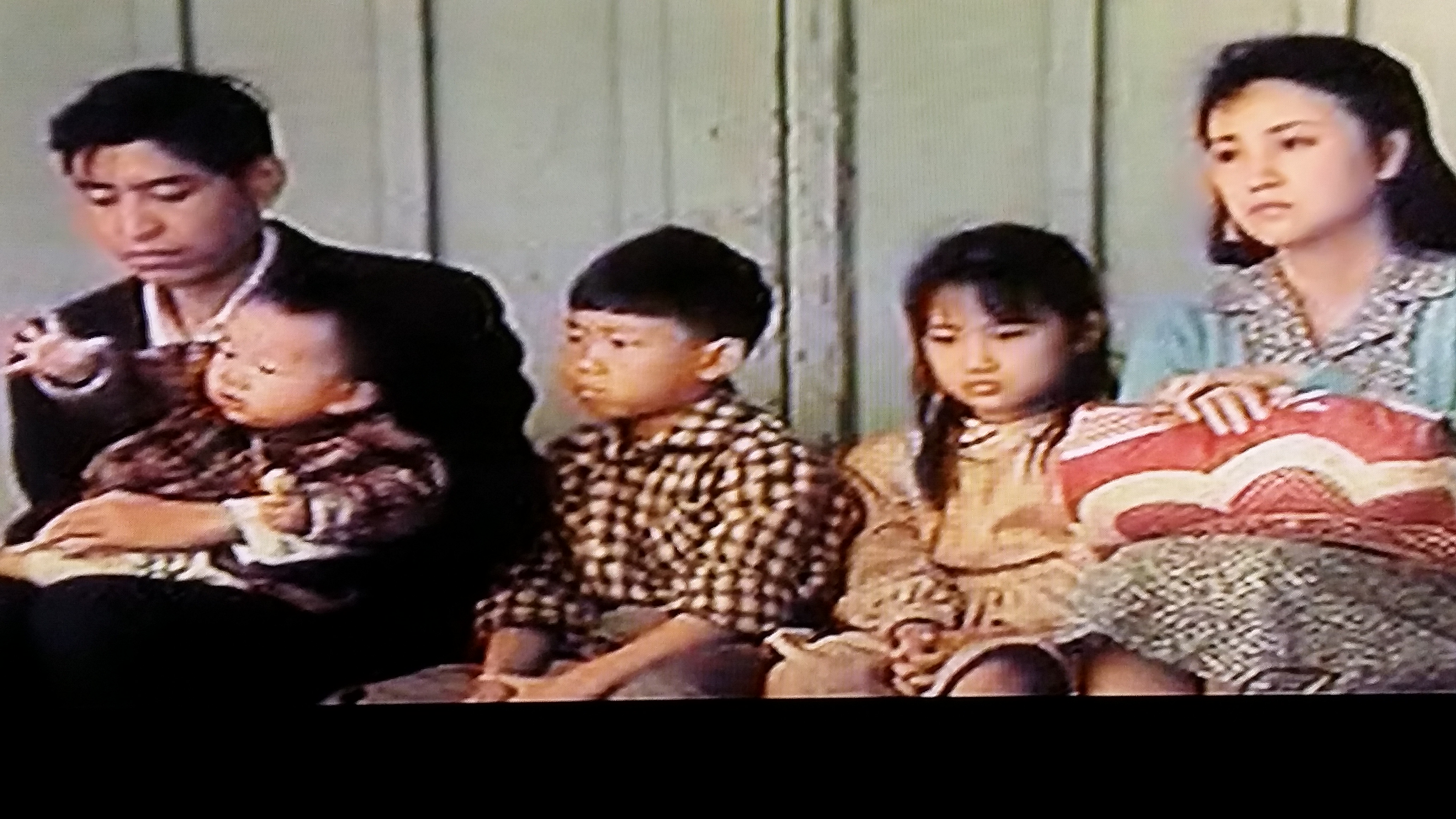 油麻菜籽剧照的剧照