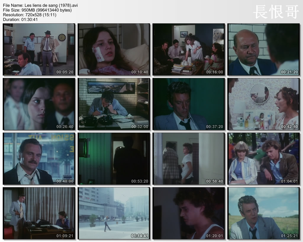 血缘关系剧照的剧照