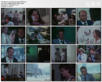 血缘关系剧照的剧照