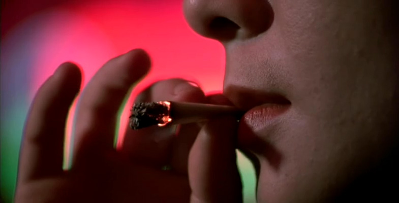 亡命鸳鸯剧照的剧照