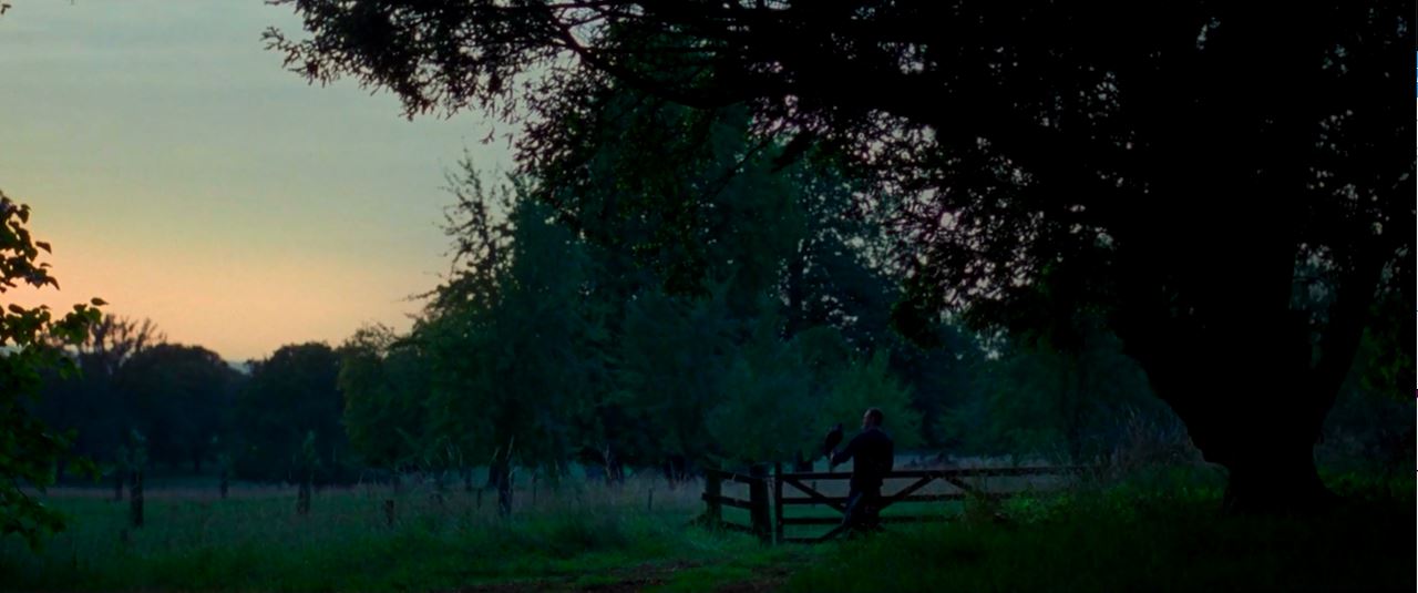 血浓于罪剧照的剧照