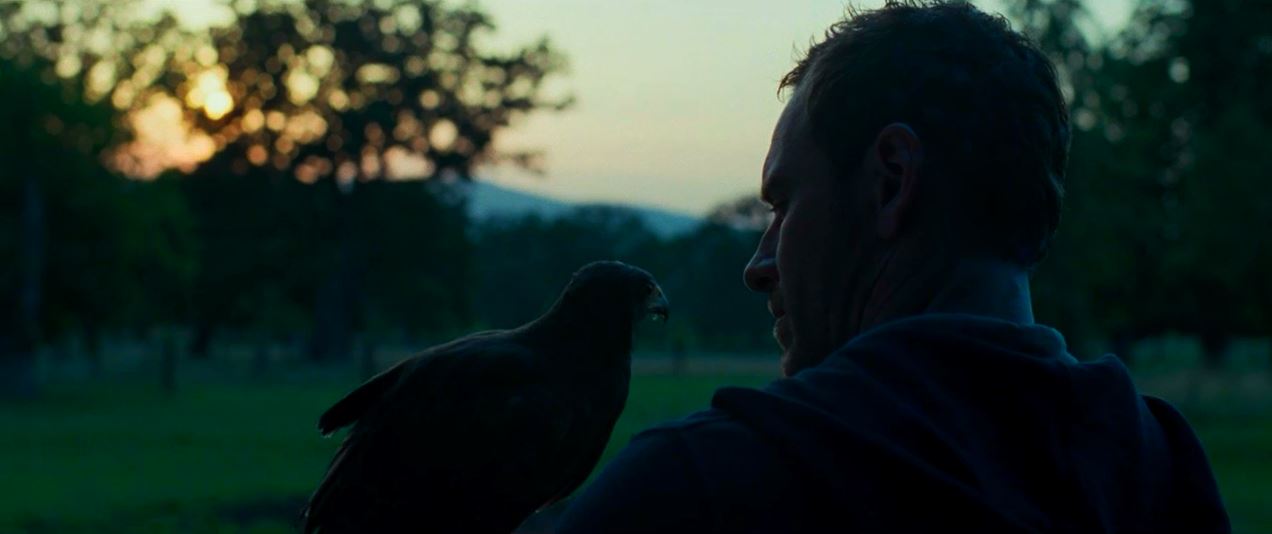 血浓于罪剧照的剧照