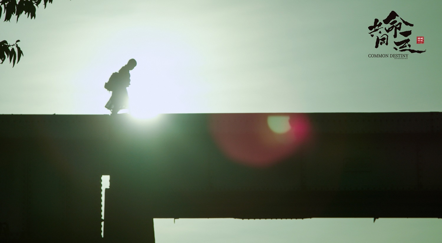 共同命运剧照的剧照