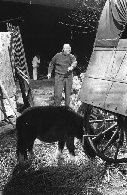 艾琳娜和她的男人们剧照的剧照