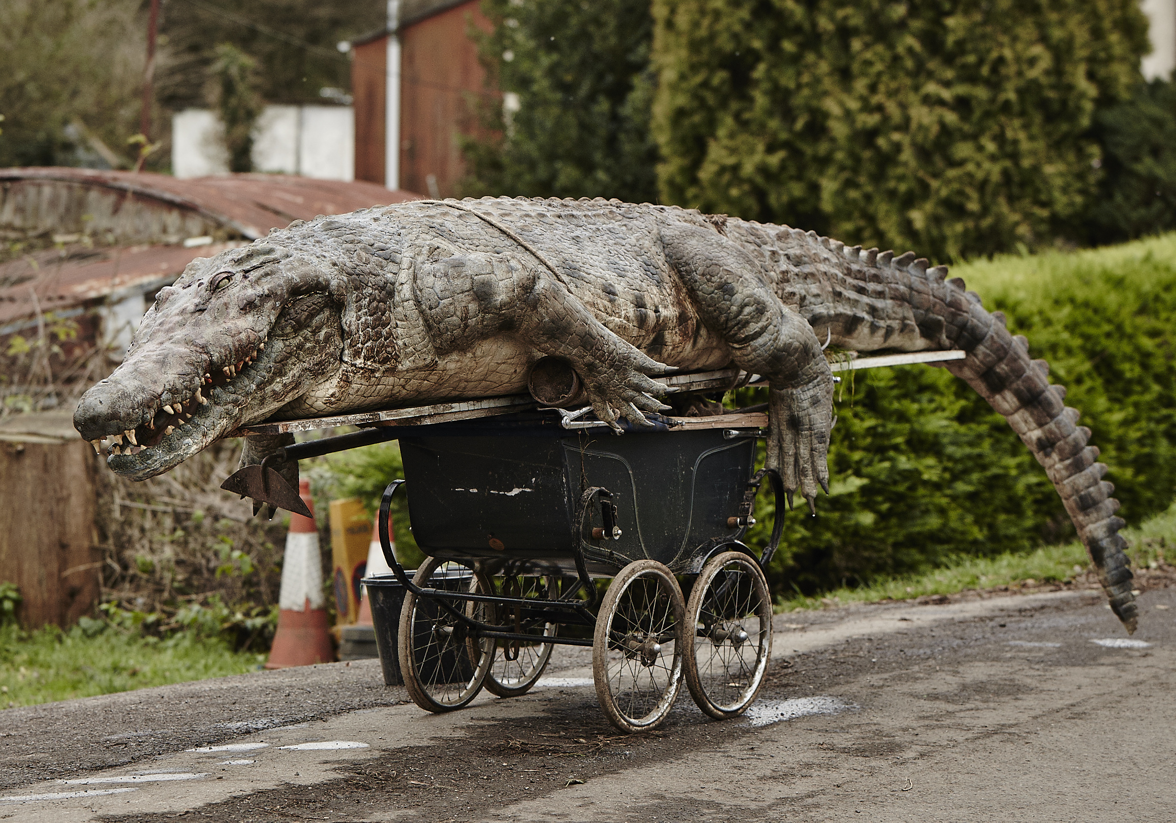 危险孵化剧照的剧照