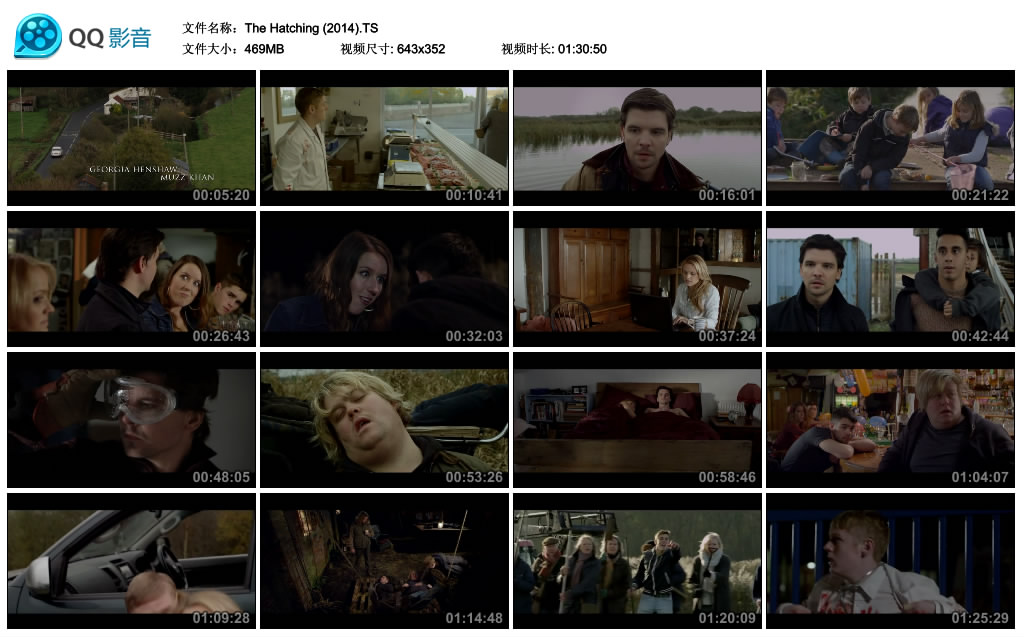 危险孵化剧照的剧照