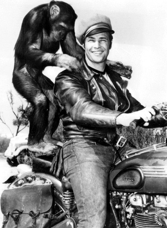 飞车党剧照的剧照