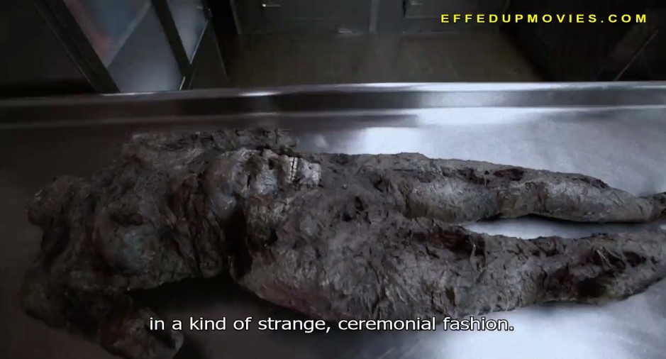 波基普西录像带剧照的剧照