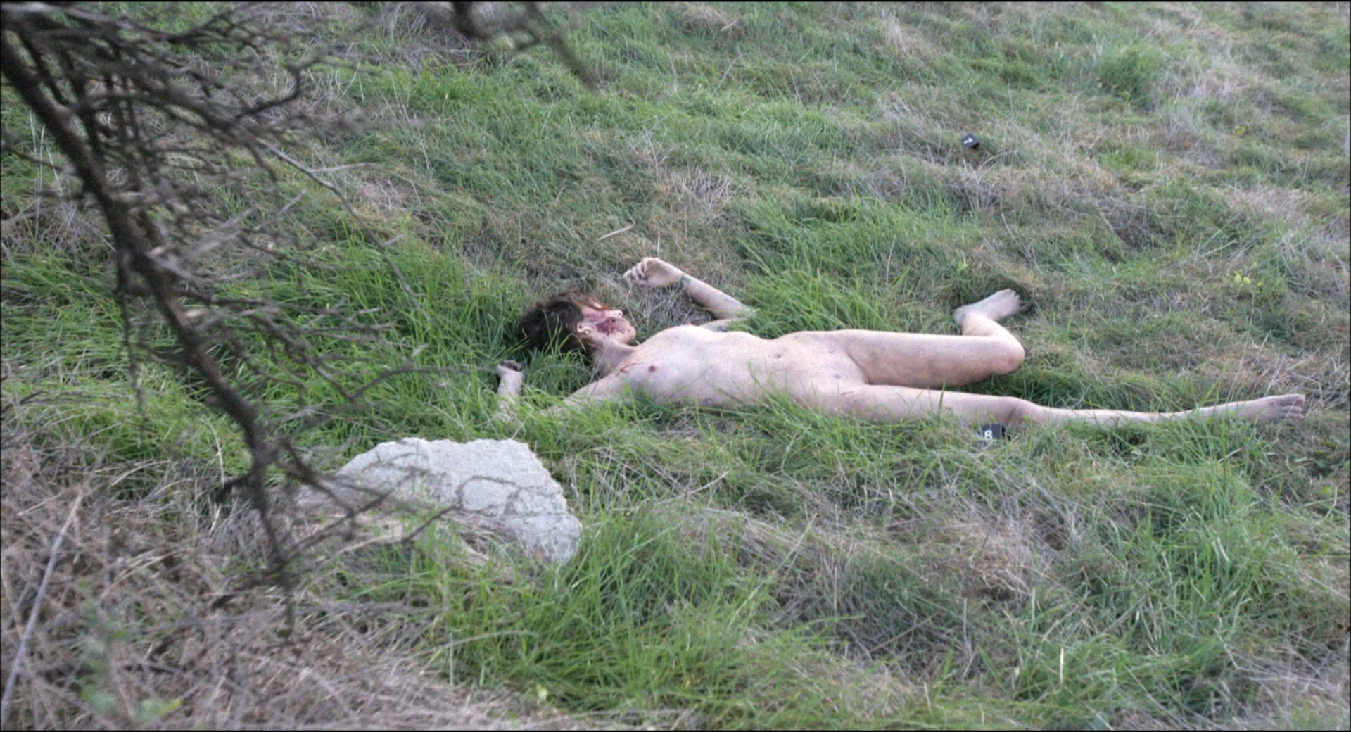 波基普西录像带剧照的剧照