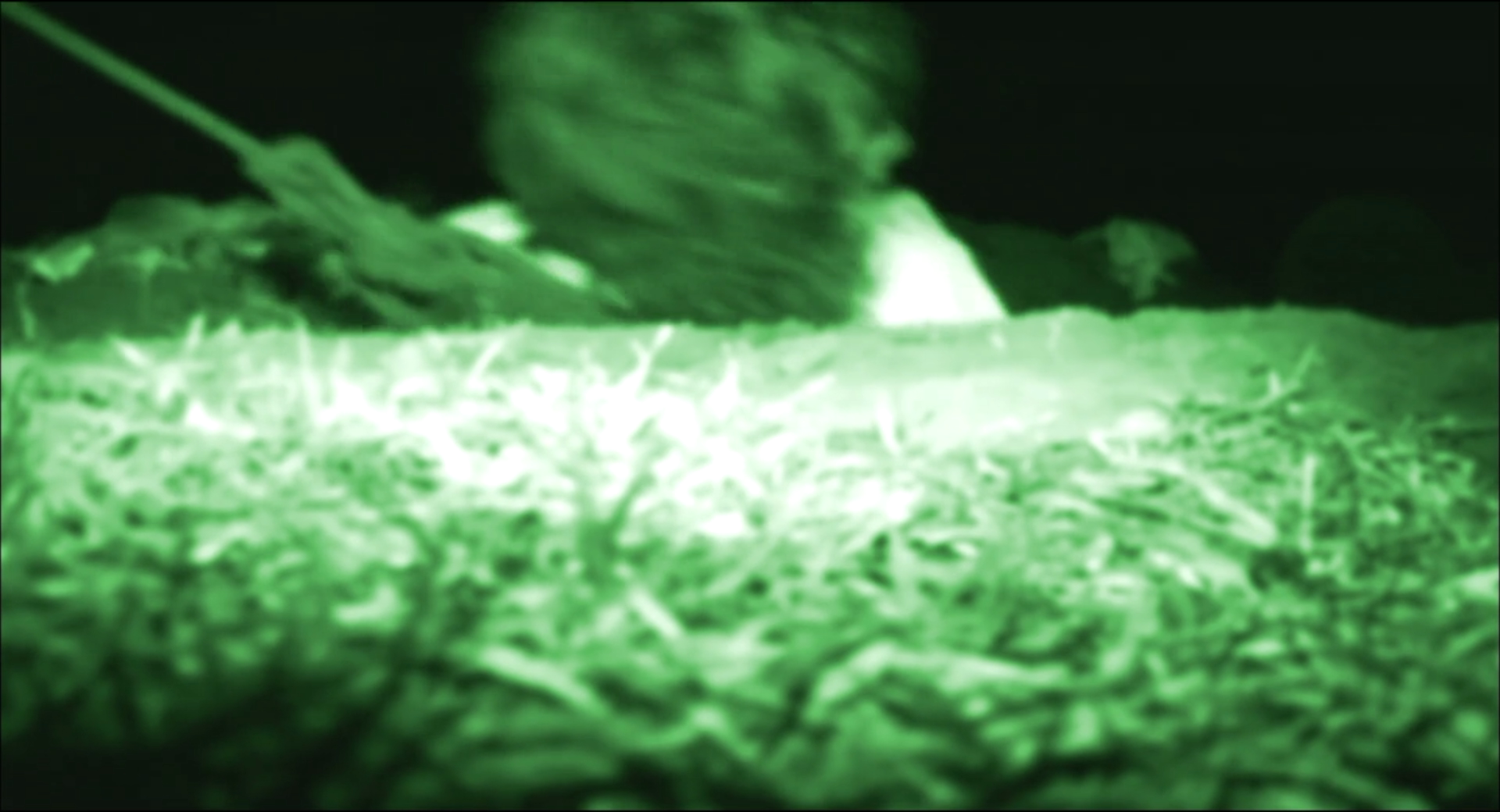 波基普西录像带剧照的剧照