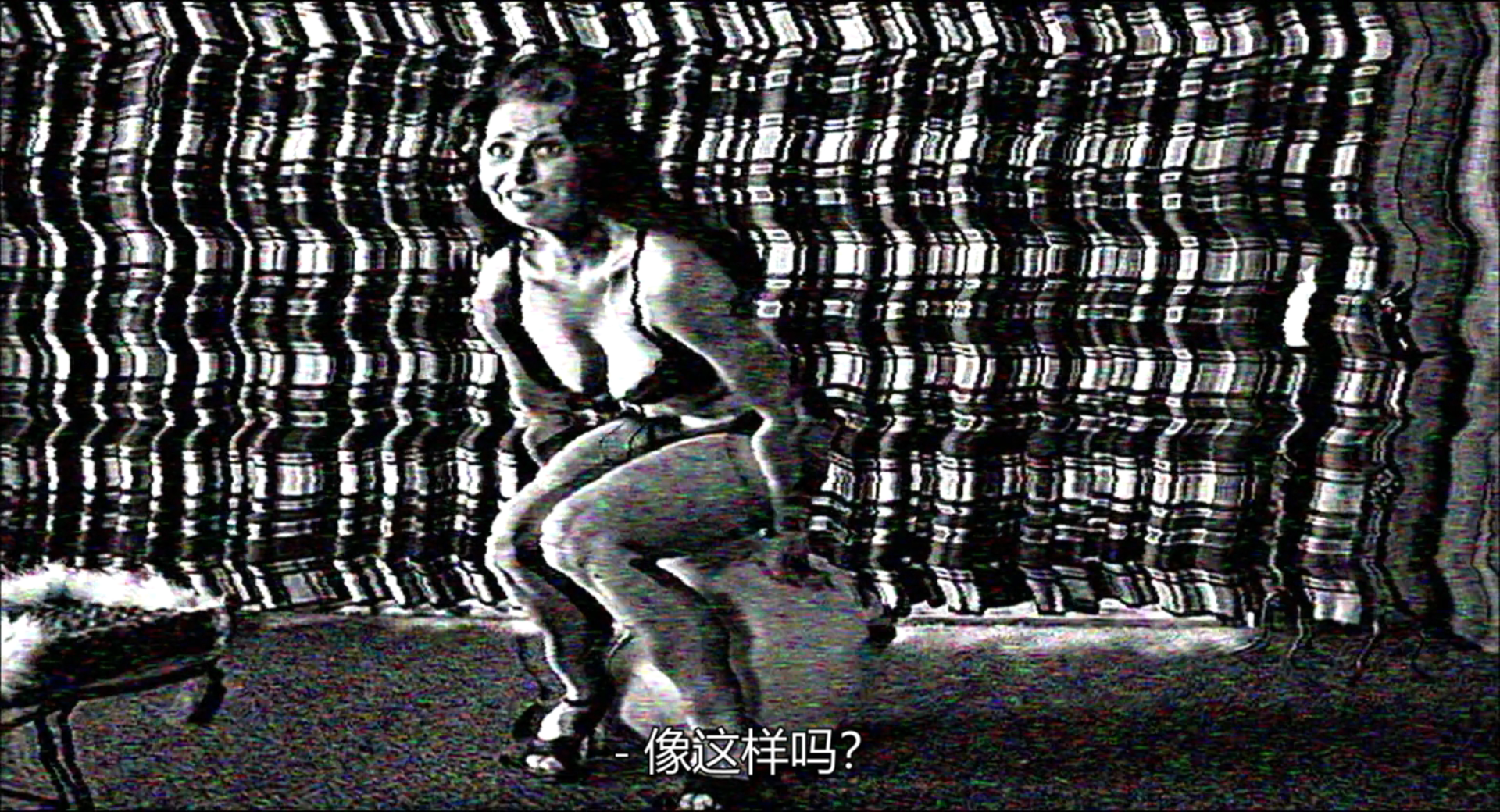 波基普西录像带剧照的剧照