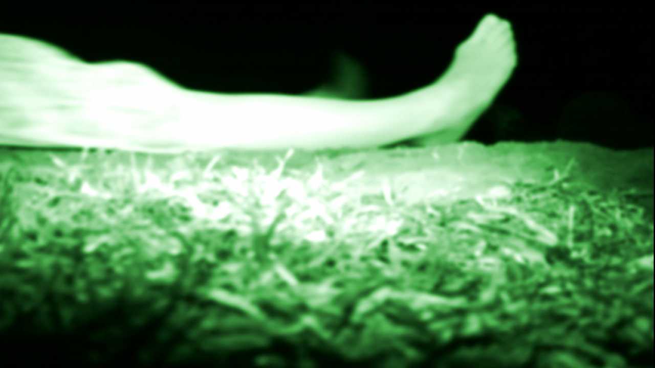 波基普西录像带剧照的剧照