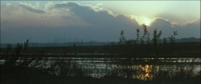 女番长布鲁斯：雌蜂的挑战剧照的剧照