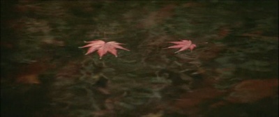 女番长布鲁斯：雌蜂的挑战剧照的剧照