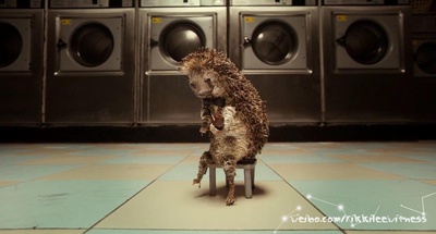 奇异恐惧剧照的剧照