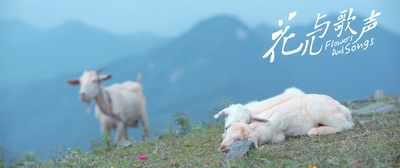 花儿与歌声剧照的剧照