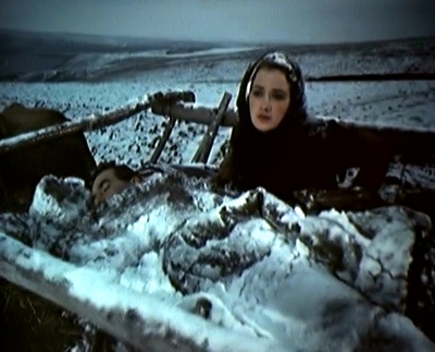 静静的顿河剧照的剧照