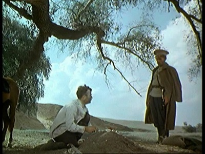 静静的顿河剧照的剧照