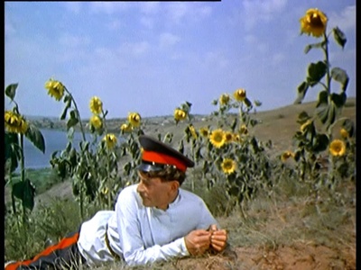 静静的顿河剧照的剧照