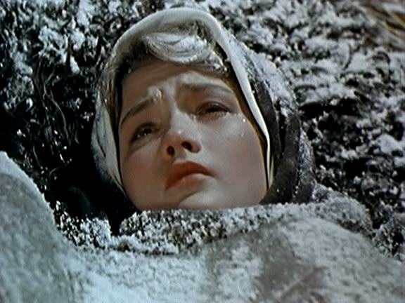 静静的顿河剧照的剧照