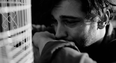 有毒蜂蜜剧照的剧照