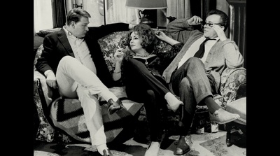 成为迈克·尼科尔斯剧照的剧照