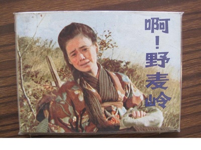 啊！野麦岭剧照的剧照