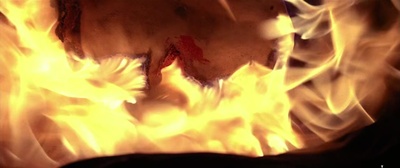 月光光心慌慌2剧照的剧照