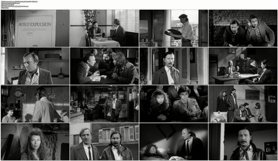 波希米亚生活剧照的剧照