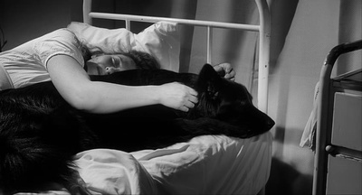 波希米亚生活剧照的剧照