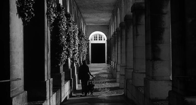 波希米亚生活剧照的剧照