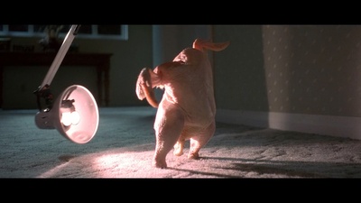 恐怖幽灵剧照的剧照