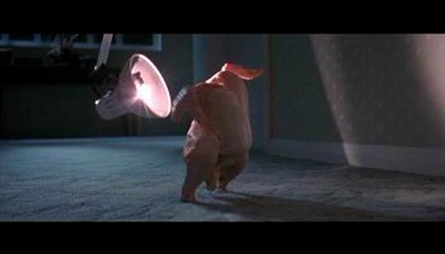 恐怖幽灵剧照的剧照