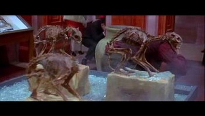 恐怖幽灵剧照的剧照